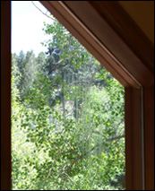 Example of window with broken seal.