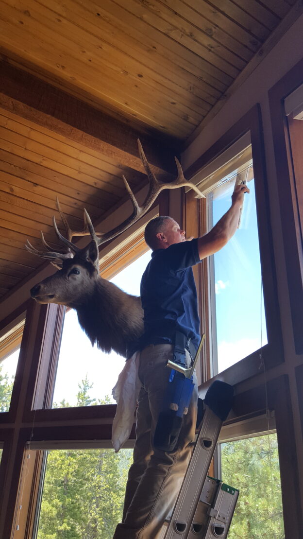 Window cleaning with elk
