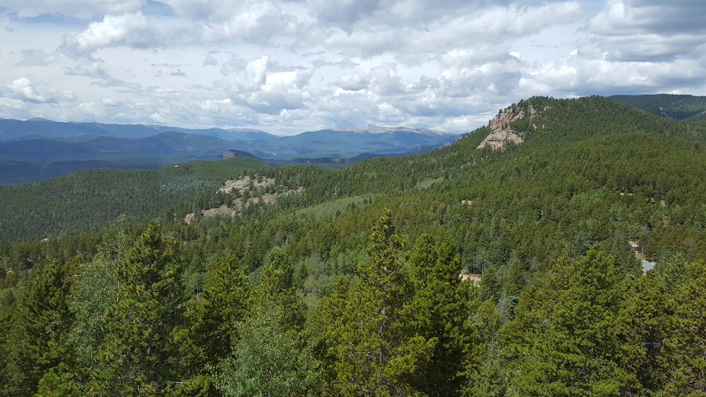 Peak Window Cleaning (Evergreen, Colorado)